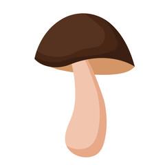 Vector illustration, white mushroom isolated on a white background. Porcini. Vegetarian mushrooms. Nature's darner for a healthy diet.