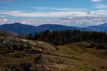 panorama natura