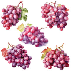 Watercolour red grapes on white background, AI generated art.