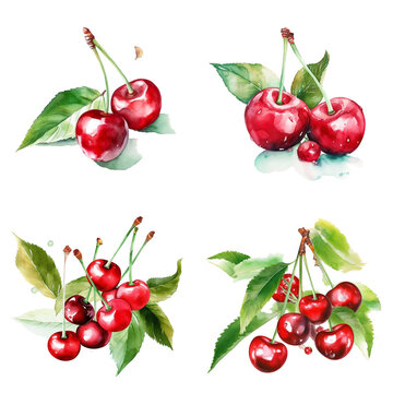 Watercolour cherries on white background, AI generated art.