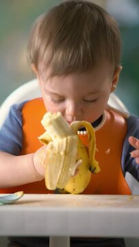 The kid eating a banana with an appetite sitting in a high child seat. Vertical video.