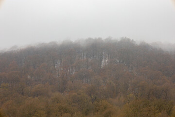 Trees on top of a hill covered by fog in early spring