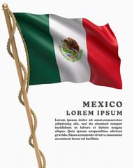 White Backround Flag Of MEXICO