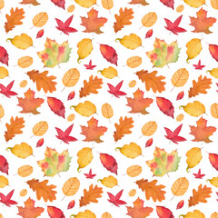 Watercolor Autumn Fall Seamless Pattern. Leaf Pattern. Botanical illustration. October print. Design for tile, backgrounds, fabric, textile, wrapping papper. Autumn leafs. Nature print