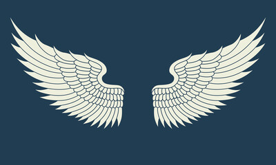 Obraz premium Vector white angel wings design