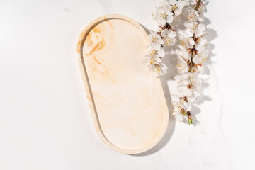 Beauty cosmetics product presentation flat lay mockup scene made with beige marble oval shape and flowering branch of apricot tree. Studio photography.