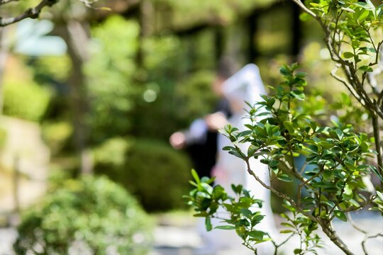 和装　結婚式