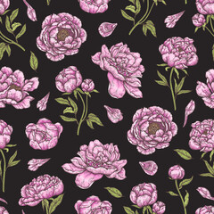 Vector sketch of a seamless pattern with peonies and roses. Hand-drawn dark background with vintage pink flowers.
