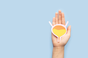 Woman hands holding bladder organ shape made from paper on light blue background. Awareness of bladder cancer, urinary tract infection, urinary incontinence and overactive bladder. - obrazy, fototapety, plakaty