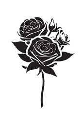 Rose branch with three flowers and a bud. Also good for tattoo. Editable vector monochrome image with high details isolated on white background