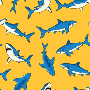 Shark seamless pattern. Hand-drawn vector sharks repeat pattern background.