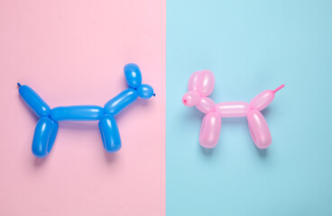 Two balloons in the shape of a dogs on blue pink pinkbackground. Top view