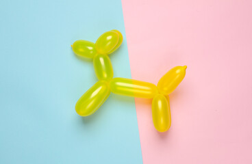 Yellow balloon in the shape of a dog on a blue pink background. Top view