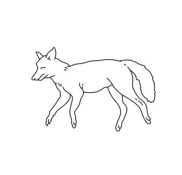 Vector isolated one single dead lying on side dog fox wolf jackal colorless black and white contour line easy drawing