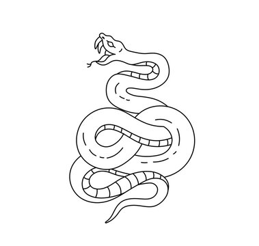 Vector isolated one single snake with open mouth and fangs colorless black and white contour line easy drawing