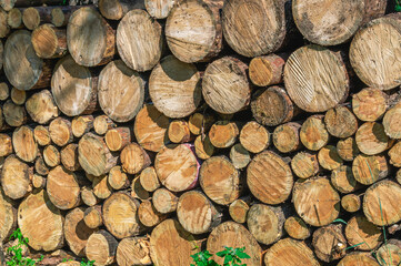 A woodpile with firewood for heating the house in cold weather. Heating the house in winter with firewood. View of sawn wood for the fireplace. Firewood that needs to be chopped with an axe.