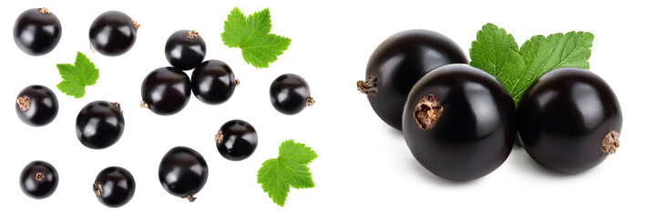 black currant isolated on white background. Top view. Flat lay pattern