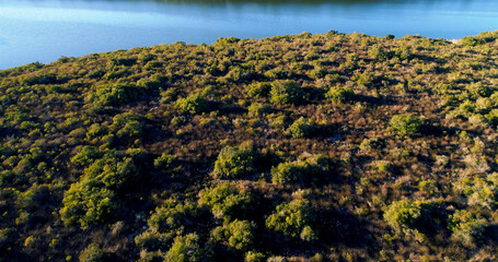 High angle view of plants growing by lake 
