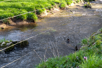 The stream is fenced with barbed wire. Protection of water resources. Private property.