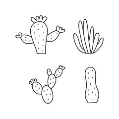 Doodle cactuses and aloe.
