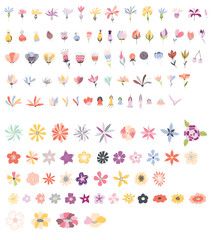 Blooming bouquet illustration vector many flowers leaf floral