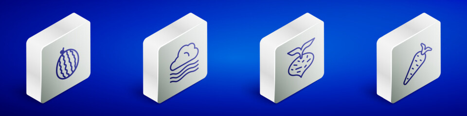 Set Isometric line Watermelon, Windy weather, Beet and Carrot icon. Vector