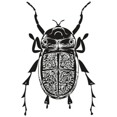Vintage engrave isolated beetle illustration cut ink sketch beetles