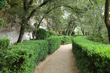Fototapeta na wymiar Perigord, the picturesque garden of Marqueyssac in Dordogne