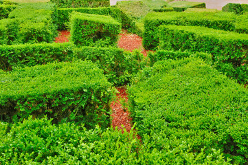 France, picturesque garden of Marqueyssac  in Dordogne