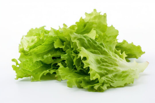 Lettuce, white background isolated, burger dressing, generative ai, Fresh tasty vegetables, Fresh ingredients, cooking ingredients
