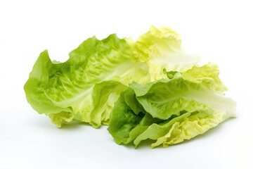 Lettuce, white background isolated, burger dressing, generative ai, Fresh tasty vegetables, Fresh ingredients, cooking ingredients