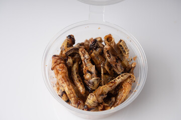 edible grasshopper in a transparent box on a white background