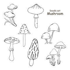 Set of poisonous mushrooms. Doodle. Vector illustration isolated on white background.  Morel, fly agaric, toadstool. Different types in the style of line art.