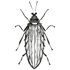 bug vector illustration line art drawing black and white bugs
