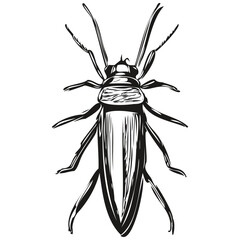 Funny cartoon bug, line art illustration ink sketch bugs