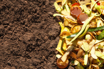 Compost and composted soil. Organic waste for composting on the soil. Composting of leftover...