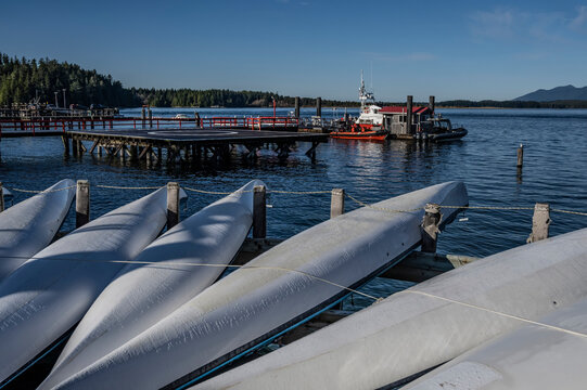 Harbour with kayaks, dock and helipad in the town of Tofino on the West coast of Vancouver Island; Tofino, British Columbia, Canada