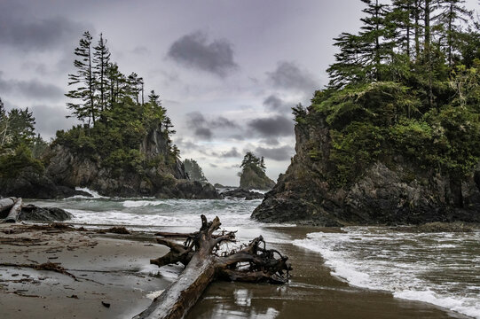 Rugged coastline of Brady's Beach in Bamfield on Vancouver Island; Bamfield, British Columbia, Canada