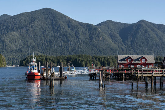 Tranquil waterfront scene in Tofino, Vancouver Island; Tofino, British Columbia, Canada