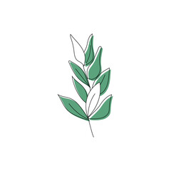 Drawing a single plant leaves. Contemporary minimalistic art. Perfect for home décor such as posters, wall drawings, large bag, t-shirt printing, sticker, cell phone case.