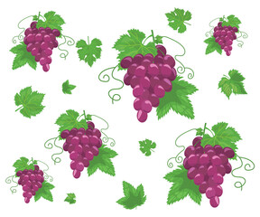 Grape, national wine day, grapes, wine party
