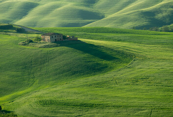 Morning in Tuscany, fog, Gladiator road, valley, hills, cypress, greenery, grass, sunrise