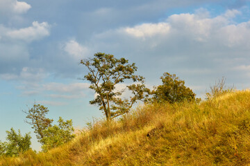 Golden autumn grass on a mountain slope with a blue sky.