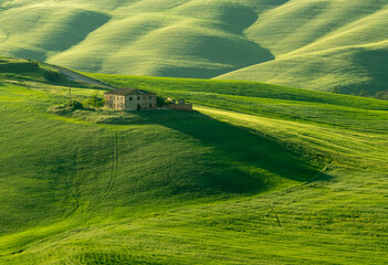 Morning in Tuscany, fog, Gladiator road, valley, hills, cypress, greenery, grass, sunrise