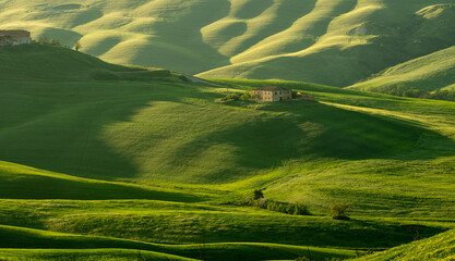 Morning in Tuscany, fog, Gladiator road, valley, hills, cypress, greenery, grass, sunrise