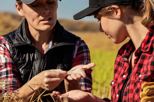 A woman farmer sitting in the fields teaching her apprentice about modern farming techniques for canola crops using wireless technologies and agricultural software; Alcomdale, Alberta, Canada
