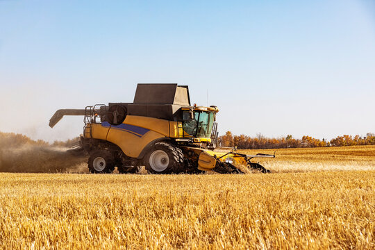 A combine harvesting a mixed grain crop of oats and barley in the fall; Alcomdale, Alberta, Canada