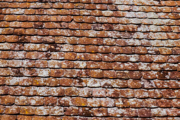 Old clay roof tiles with mold and algae on the surface.