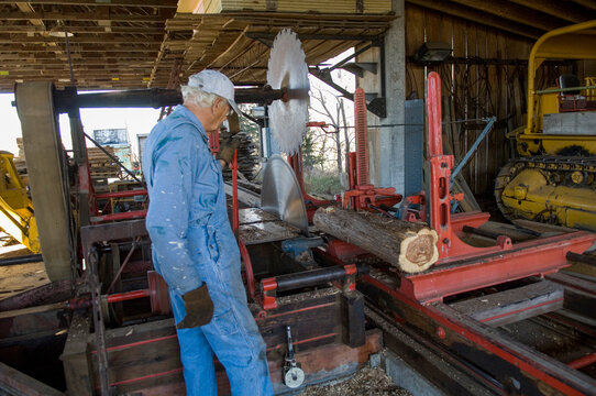 Worker in a sawmill cutting up cedar trees; Cortland, Nebraska, United States of America