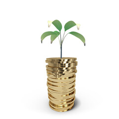Plant on gold coin stack against white background